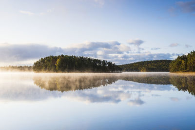 Forest reflecting in lake