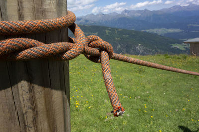 Cutting the gordian knot as metaphor for solving an impossible problem