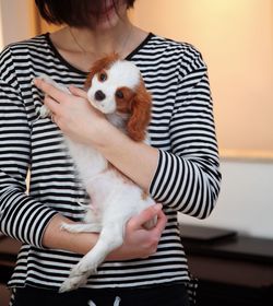 Midsection of woman holding dog