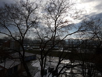 Bare trees against sky