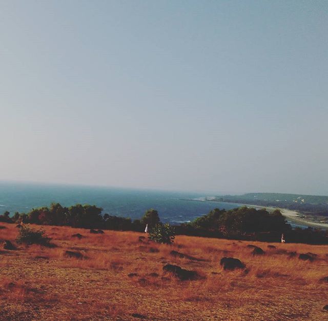 tranquil scene, tranquility, scenics, copy space, beauty in nature, clear sky, landscape, nature, horizon over water, sea, sky, idyllic, water, non-urban scene, remote, field, tree, horizon over land, outdoors, no people