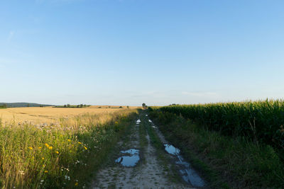 Scenic view of field against clear blue sky