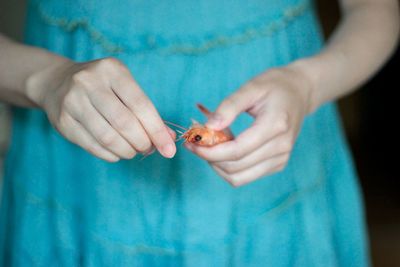 Close-up of hands holding blue eyes