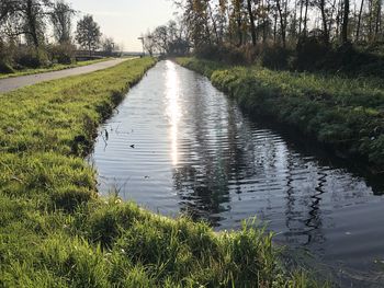 Scenic view of canal amidst trees