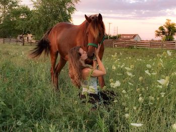 Horses standing on grassy field