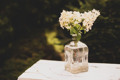 Close-up of white flower vase on table