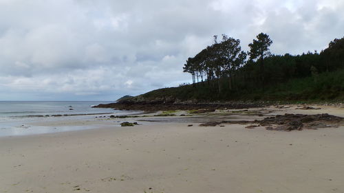 Scenic view of beach against cloudy sky