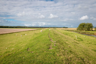 Scenic view of field against sky