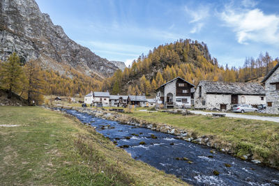 The colours of autumn at the alpe devero in crampiolo, little village in the mountains near a river