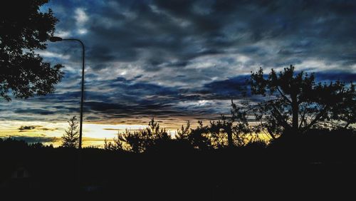 Silhouette of trees during sunset