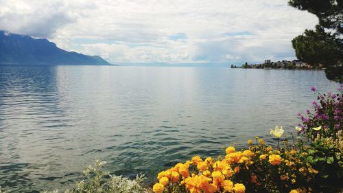 Scenic view of sea against sky