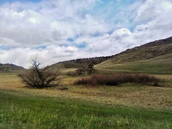 Scenic view of field against sky