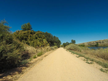 Empty road along plants and trees against clear blue sky