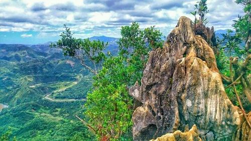 Scenic view of tree mountains against sky