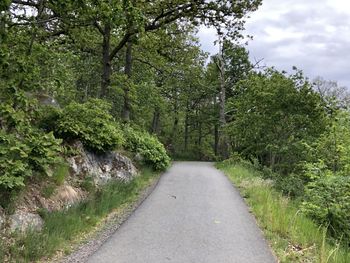 Road amidst trees in forest