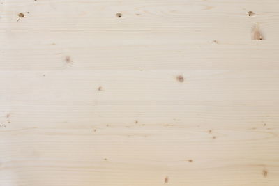 High angle view of white cat on wooden table