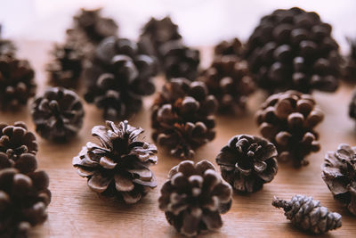 Close-up of pine cones on table