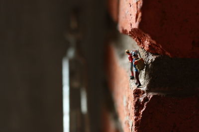 Close-up of metallic structure against wall