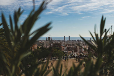 Trees and buildings in city against sky