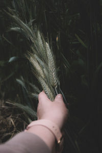 hand