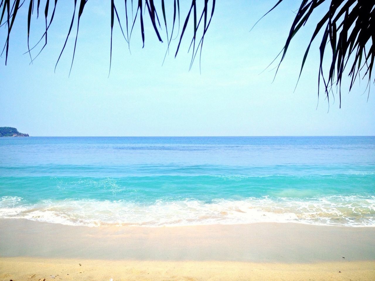 sea, beach, horizon over water, sand, water, shore, clear sky, tranquil scene, tranquility, scenics, beauty in nature, nature, palm tree, blue, wave, coastline, tree, idyllic, surf, vacations