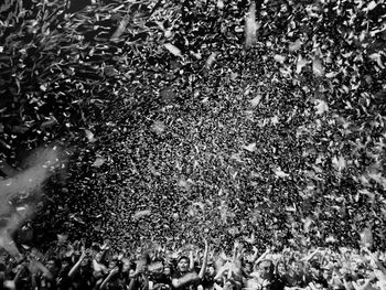 High angle view of crowd at music concert