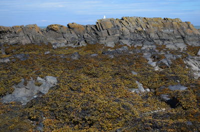 Rocks on shore against sky