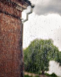 Raindrops on glass window