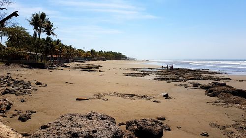 Scenic view of beach