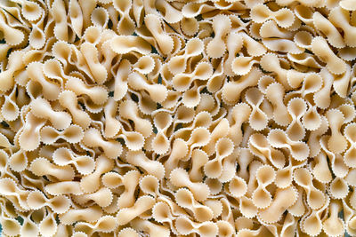Background of raw pasta spread out on the table, top view