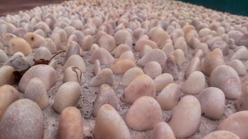 Full frame shot of eggs in container