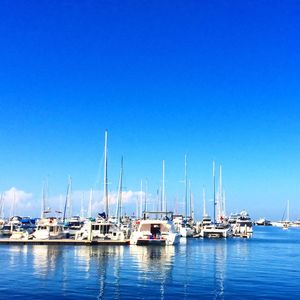 Boats in harbor