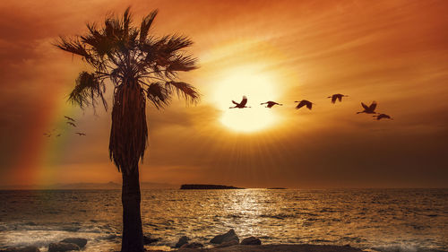 Silhouette birds on beach against sky during sunset