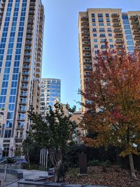 Low angle view of trees and buildings against sky