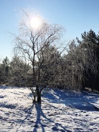 Scenic view of snow covered landscape