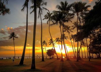 Low angle view of coconut palm trees at beach against sky during sunset