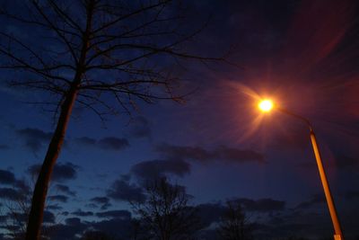 Low angle view of silhouette trees against sky during sunset