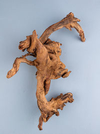 wood