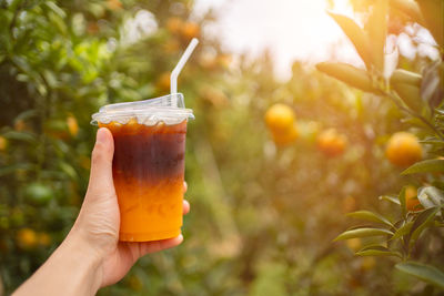 Close-up of hand holding drink