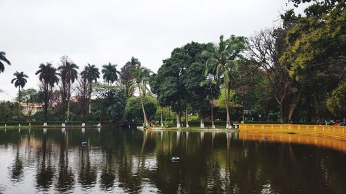 Scenic view of lake by trees against sky