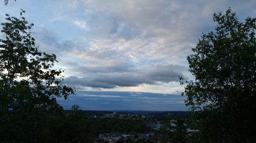 View of trees against cloudy sky