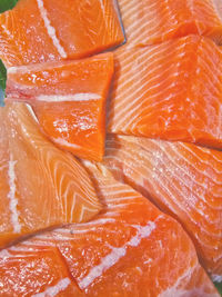 Close-up of orange fish
