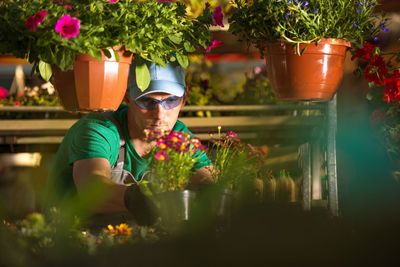 Man looking at plants in greenhouse