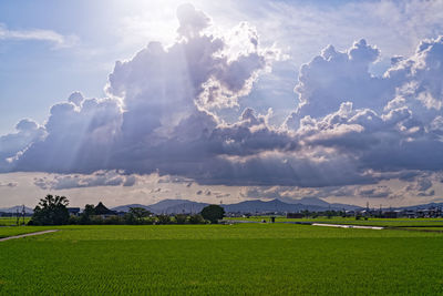 Scenic view of field against sky