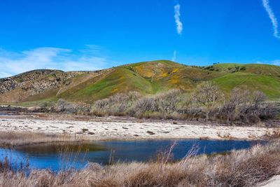 Scenic view of landscape against blue sky