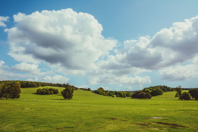 Scenic view of land against sky