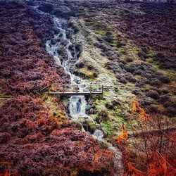 Scenic view of waterfall in forest