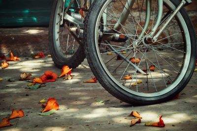 Bicycle parked by leaves on footpath