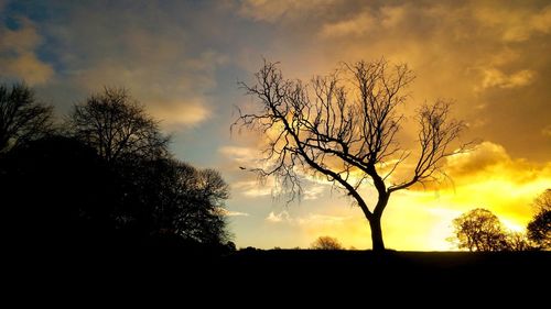 Low angle view of silhouette trees against sky at sunset