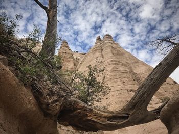 Low angle view of trees against sky